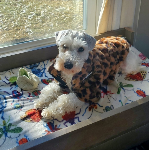 Meet your Posher, Kelly - Picture 7 of 7